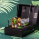 Роздавальник капсул Nespresso View Cube, прозорий бокс для 50 капсул 1276014119 фото 2